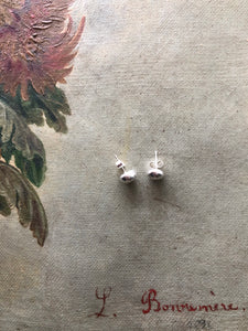 Little silver studs